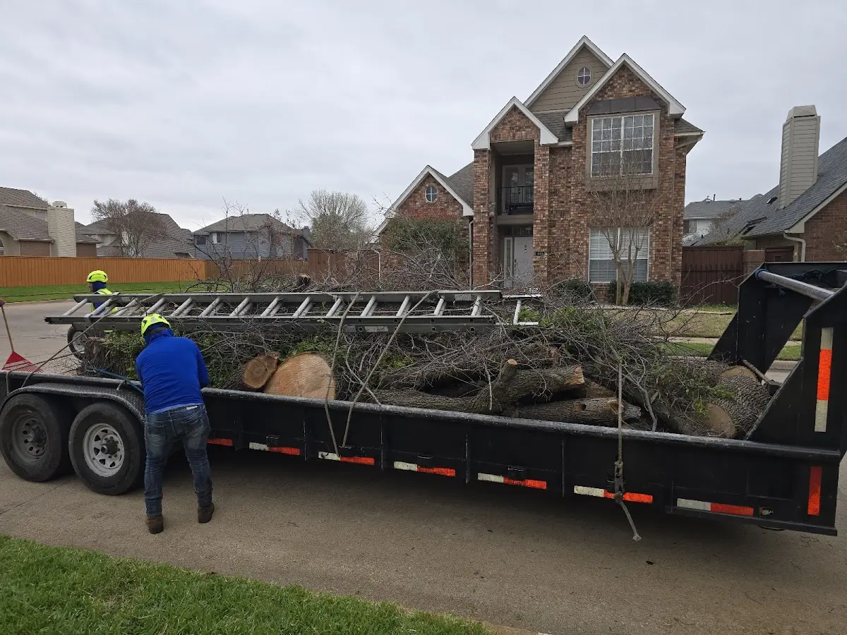 Expert Deadwooding with proper safety equipment in New Goshen